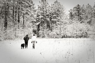 66010-20110210-img_5407