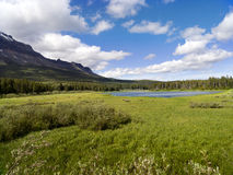 bear-lake-wide-meadow-25623817